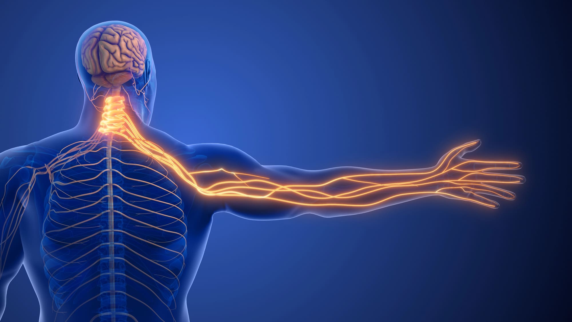 Jaffe Sports Medicine – Nerve Pain & Neuropathy Treatment Advanced Care
